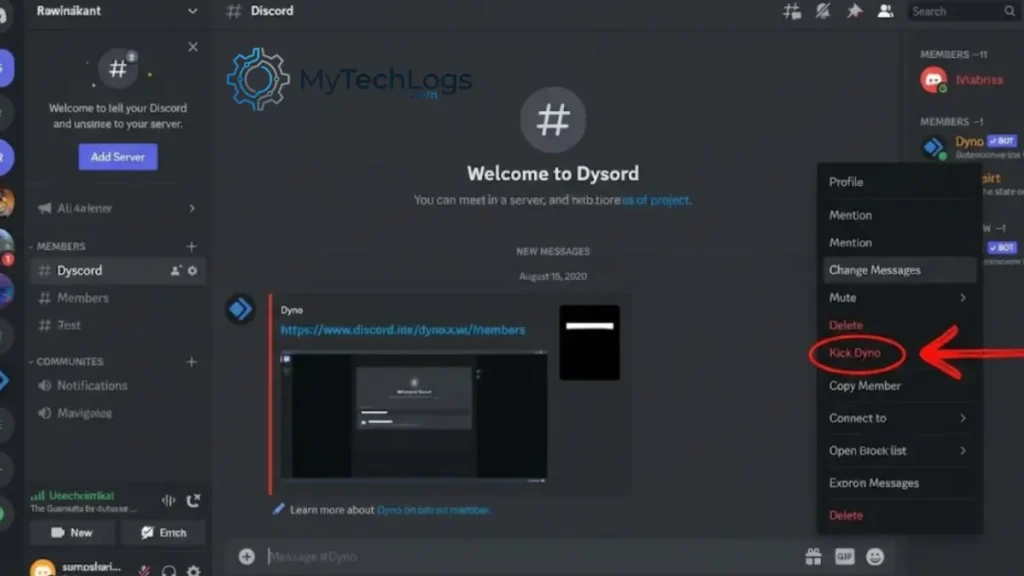steps to kick a bot, Discord error 10062